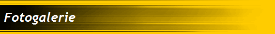 Fotogalerie